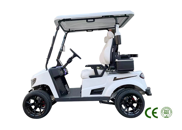 Golf Cart
