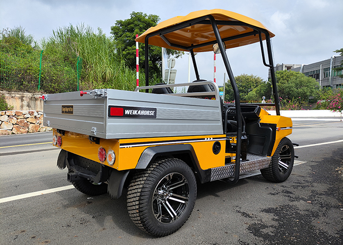 Utility Electric Vehicle 