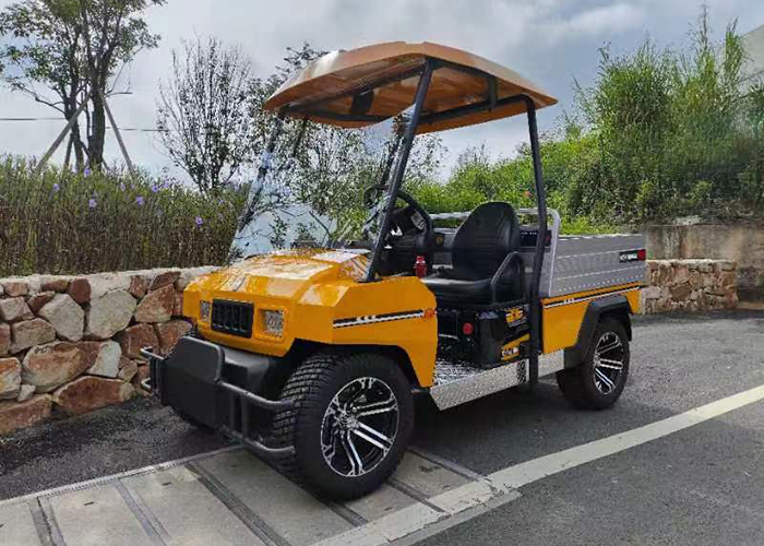 Utility Electric Vehicle 